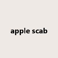 apple scab是什么意思