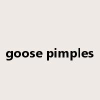 goose pimples是什么意思