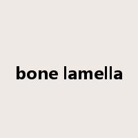 bone lamella是什么意思