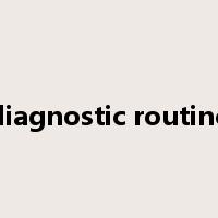 diagnostic routine是什么意思