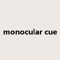 monocular cue是什么意思