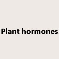 Plant hormones是什么意思