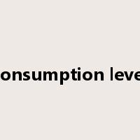 consumption level是什么意思