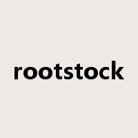 rootstock是什么意思