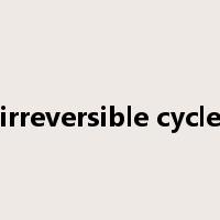 irreversible cycle是什么意思