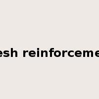 mesh reinforcement是什么意思