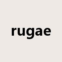 rugae是什么意思