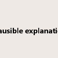 plausible explanation是什么意思