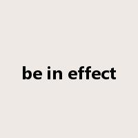 be in effect是什么意思
