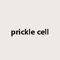 prickle cell是什么意思