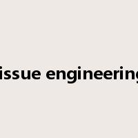 tissue engineering是什么意思