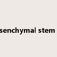 mesenchymal stem cell是什么意思