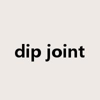 dip joint是什么意思
