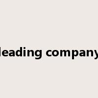 leading company是什么意思