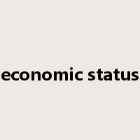 economic status是什么意思