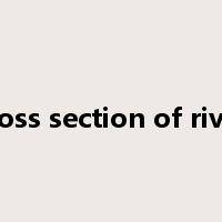 cross section of river是什么意思