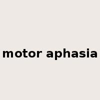 motor aphasia是什么意思