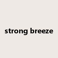 strong breeze是什么意思