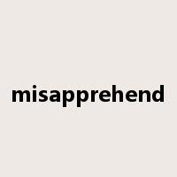 misapprehend是什么意思