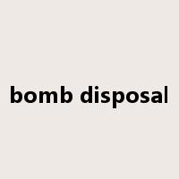 bomb disposal是什么意思
