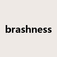 brashness是什么意思