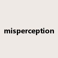 misperception是什么意思