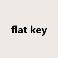flat key是什么意思