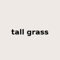 tall grass是什么意思