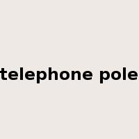 telephone pole是什么意思