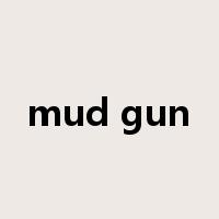 mud gun是什么意思