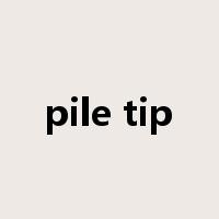 pile tip是什么意思