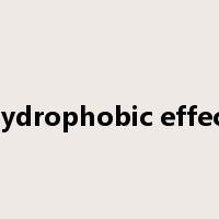 hydrophobic effect是什么意思