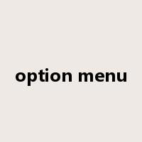 option menu是什么意思