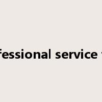 professional service firm是什么意思