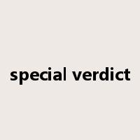 special verdict是什么意思