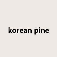 korean pine是什么意思