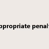 appropriate penalty是什么意思