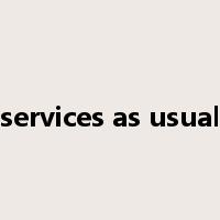 services as usual是什么意思