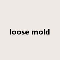 loose mold是什么意思