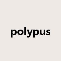 polypus是什么意思
