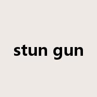 stun gun是什么意思