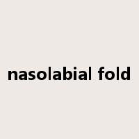 nasolabial fold是什么意思