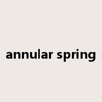 annular spring是什么意思