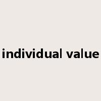 individual value是什么意思