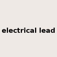 electrical lead是什么意思