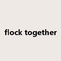 flock together是什么意思