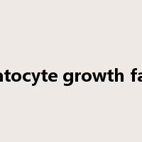 hepatocyte growth factor是什么意思