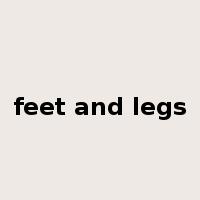 feet and legs是什么意思