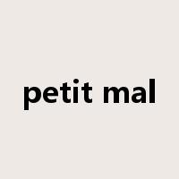 petit mal是什么意思