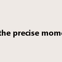 at the precise moment是什么意思